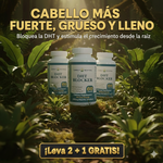 DHT BLOCKER 🌀 | ¡2+1 GRATIS Por tiempo limitado!  ⏰